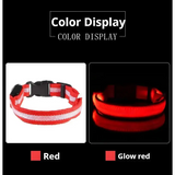 LED Glow Dog Collar & Leash - Night Safety Stylish & Bright! 🌟🐾 - Dog leashes