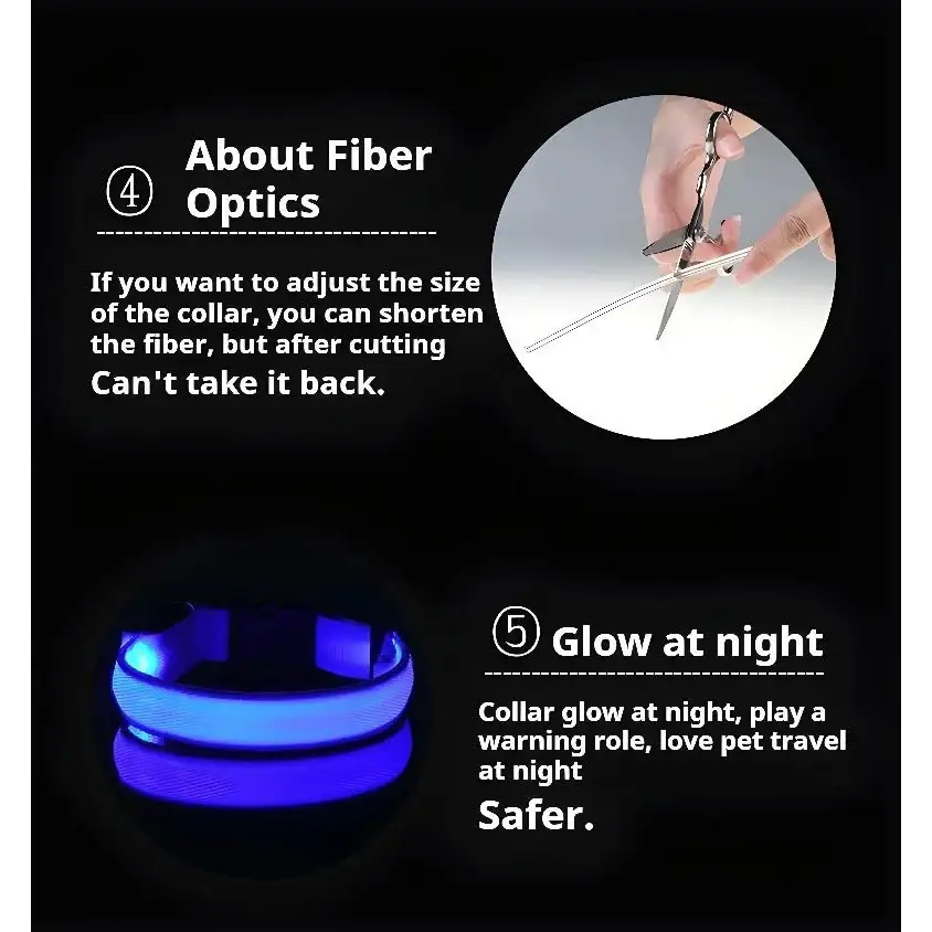 LED Glow Dog Collar & Leash - Night Safety Stylish & Bright! 🌟🐾 - Dog leashes