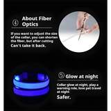 LED Glow Dog Collar & Leash - Night Safety Stylish & Bright! 🌟🐾 - Dog leashes