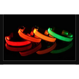 LED Glow Dog Collar & Leash - Night Safety Stylish & Bright! 🌟🐾 - Dog leashes