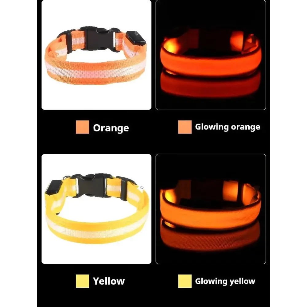 LED Glow Dog Collar & Leash - Night Safety Stylish & Bright! 🌟🐾 - Dog leashes