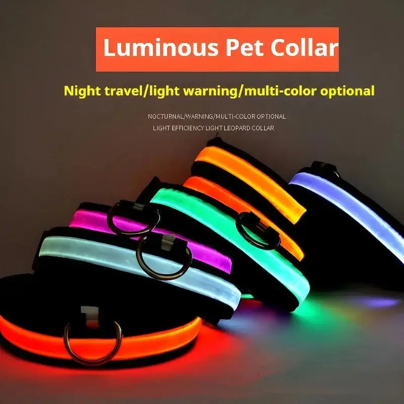 LED Glow Dog Collar & Leash - Night Safety Stylish & Bright! 🌟🐾 - Dog leashes