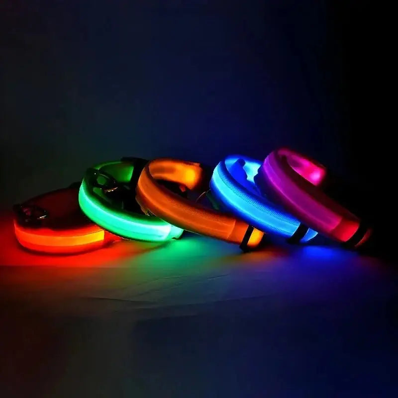 LED Glow Dog Collar & Leash - Night Safety Stylish & Bright! 🌟🐾 - Dog leashes