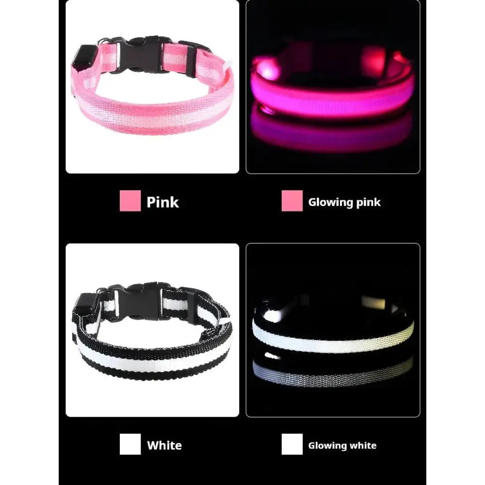 LED Glow Dog Collar & Leash - Night Safety Stylish & Bright! 🌟🐾 - Dog leashes