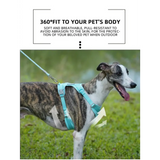 No-Pull Reflective Dog Harness - Comfy Safe Perfect for Walks! - Dog Harness