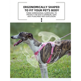 No-Pull Reflective Dog Harness - Comfy Safe Perfect for Walks! - Dog Harness