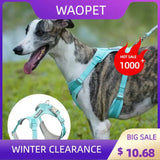 No-Pull Reflective Dog Harness - Comfy Safe Perfect for Walks! - Dog Harness