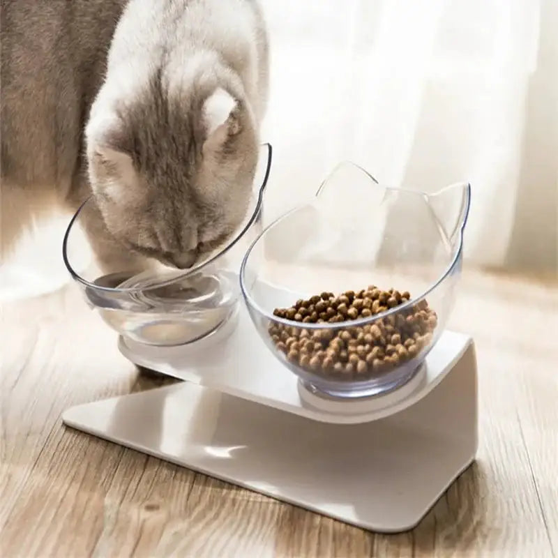 Non-Slip Double Cat Bowls with Raised Stand - Food & Water Feeder - Dog bows and dishes