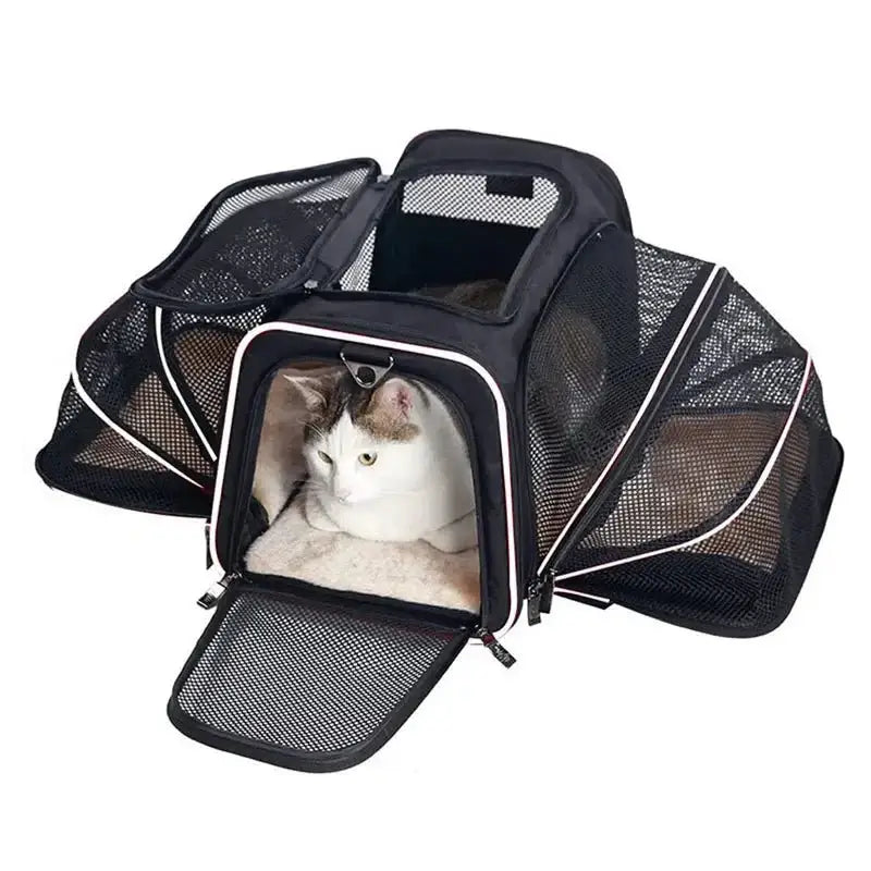 Pet Carriers Backpack Portable Breathable Foldable Shoulder Bag Cat Dog Carrier Bags Outgoing Travel Pets Handbag