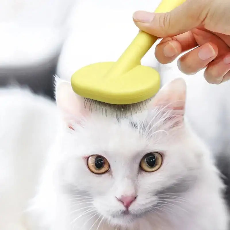 Pet Dog Brush Comb Shedding Hair Remove Needle Cat Combs Massage Grooming Tool For Dog Cats Pet Cleaning Supplies