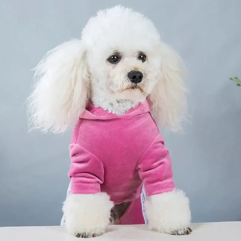 Pet Dog Jumpsuit - Warm Velvet Pajamas for Small Dogs & Puppies - Zoo Bestie Online Shop