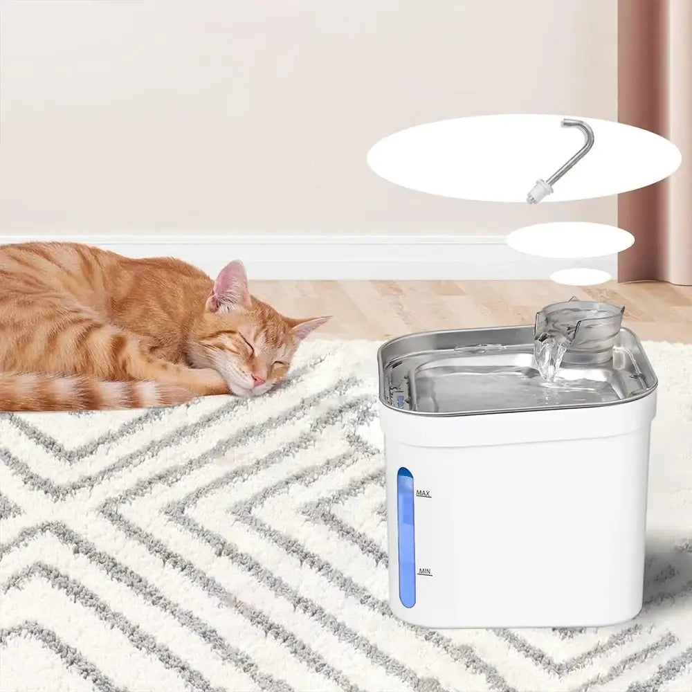 Petsamuse Cat Fountain | Quiet Stainless Steel Water Dispenser - Dog automatic waterers