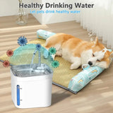 Petsamuse Cat Fountain | Quiet Stainless Steel Water Dispenser - Dog automatic waterers