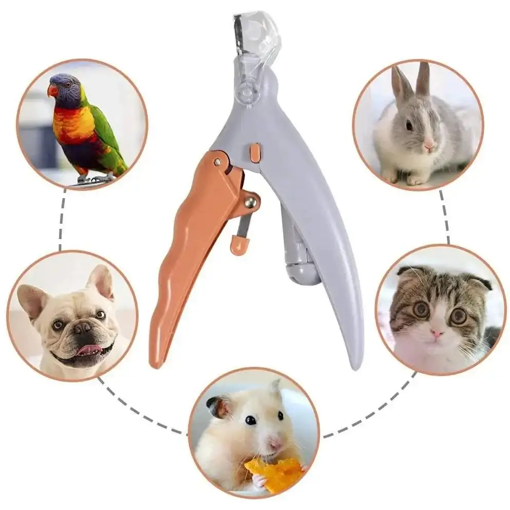 Professional Pet Nail Clipper Scissors With LED Light Cat Dog Nail Clippers Tool Scissors Nail Toeclaw Cutter Scissors