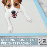 Quick-Dry Disposable Super Absorbent Pet Training Pee Pads