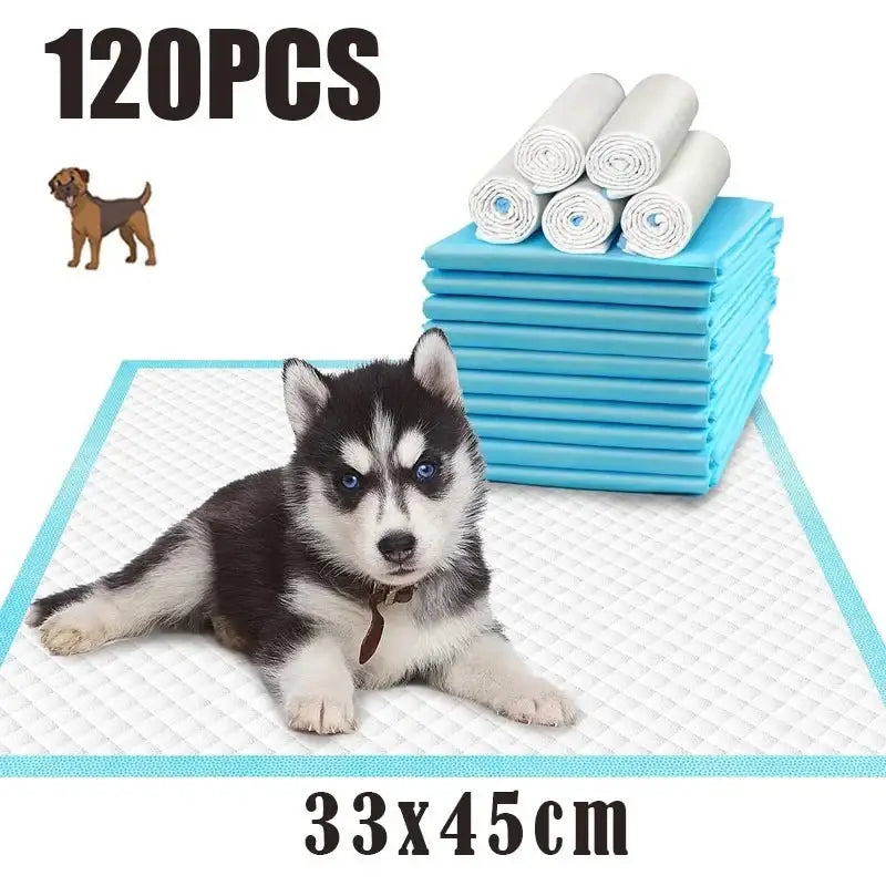 Quick-Dry Disposable Super Absorbent Pet Training Pee Pads