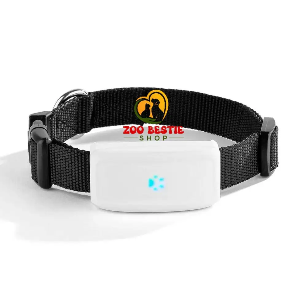 Real time GPS Finder with Collar for Dogs Waterproof - With Original Box - GPS Tracker