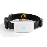 Real time GPS Finder with Collar for Dogs Waterproof - With Original Box - GPS Tracker