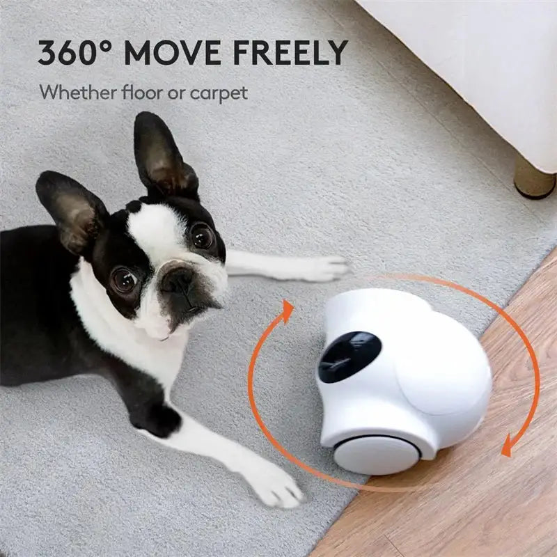 Smart WiFi Pet Feeder | Laser Camera Robot Companion Toy - WHITE - Dog automatic feeders