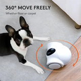 Smart WiFi Pet Feeder | Laser Camera Robot Companion Toy - WHITE - Dog automatic feeders