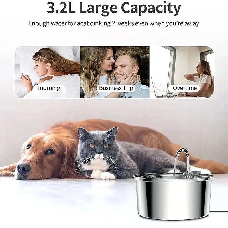 Stainless Steel Cat Water Fountain | Quiet Sensor Automatic Dispenser - Dog automatic waterers