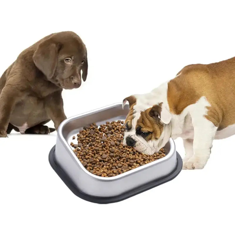 Stainless Steel Slow Feeder Bowl - Prevent Choking Healthy Design! 🐾 - 01 - Dog bows and dishes