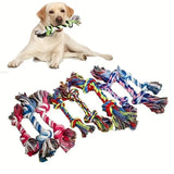 Ultimate Chew & Dental Care Rope Toy – Durable, Fun, and Perfect for Healthy Teeth - Zoo Bestie Online Shop