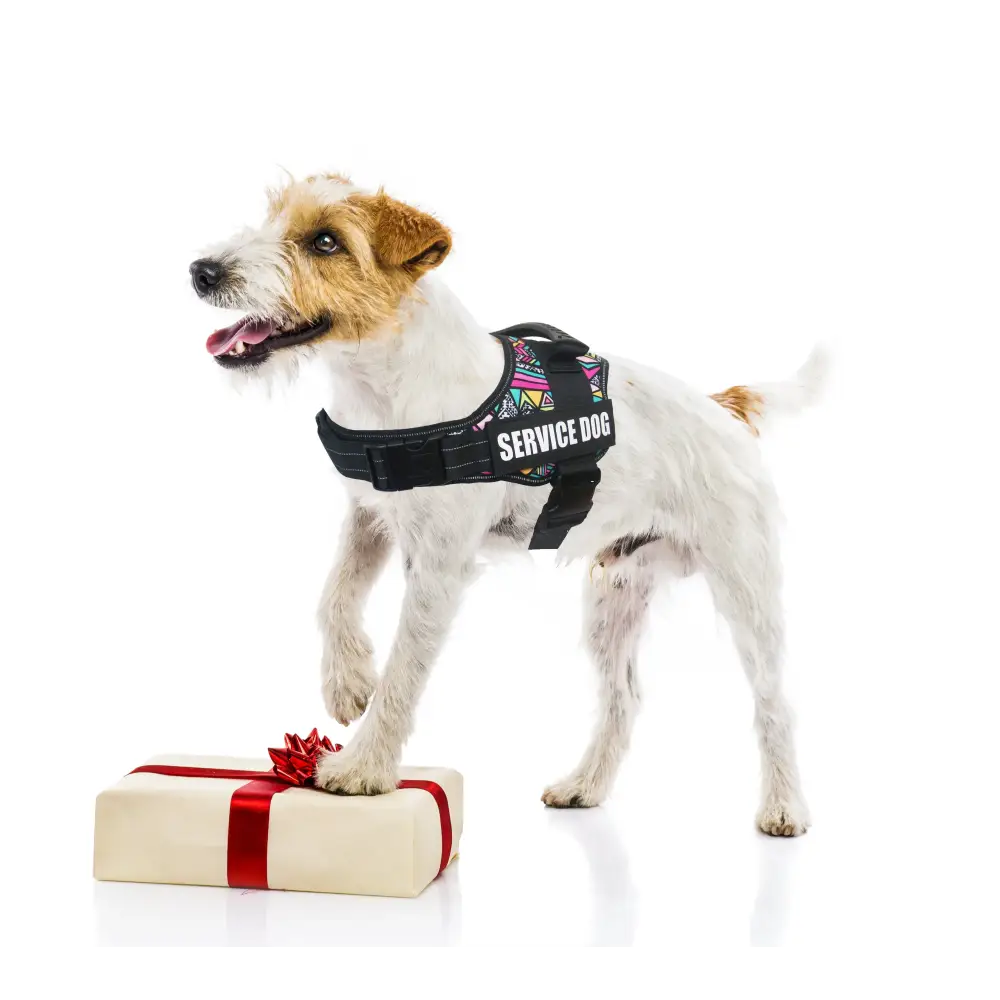 Ultimate Dog Harness – Service & Emotional Support Vest with Reflective Patches for Medium to Large Dogs - Dog Muzzle