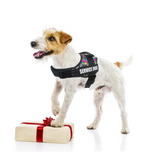 Ultimate Dog Harness – Service & Emotional Support Vest with Reflective Patches for Medium to Large Dogs - Dog Muzzle