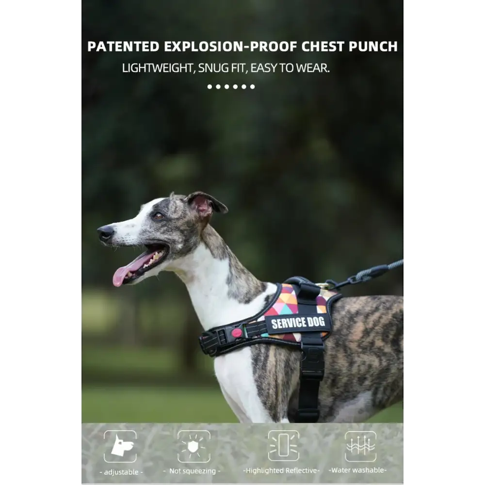 Ultimate Dog Harness – Service & Emotional Support Vest with Reflective Patches for Medium to Large Dogs - Dog Muzzle