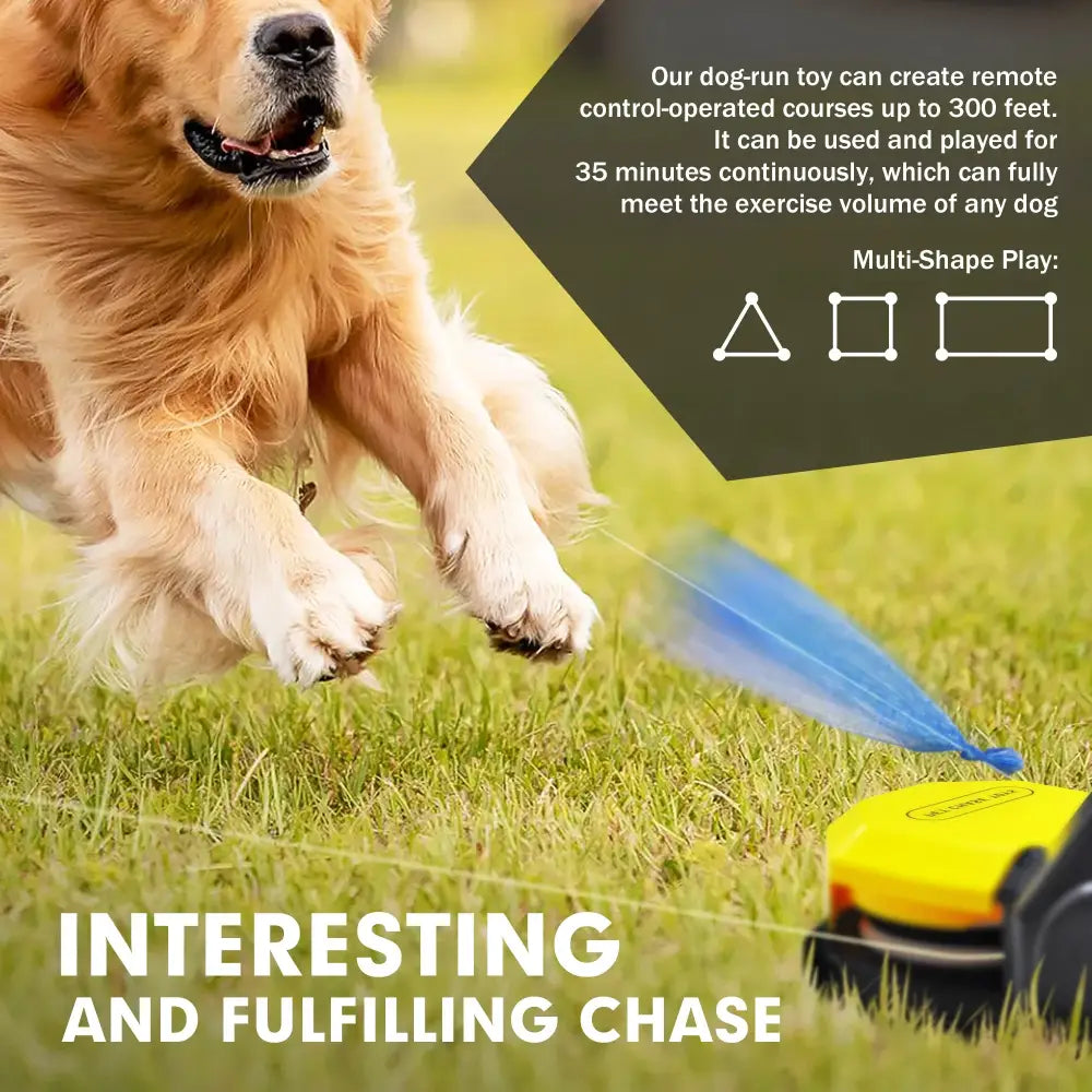 Unleash the Fun with Interactive Dog Chase Toys – Lure Course Machine for Agility Training and Endless Play