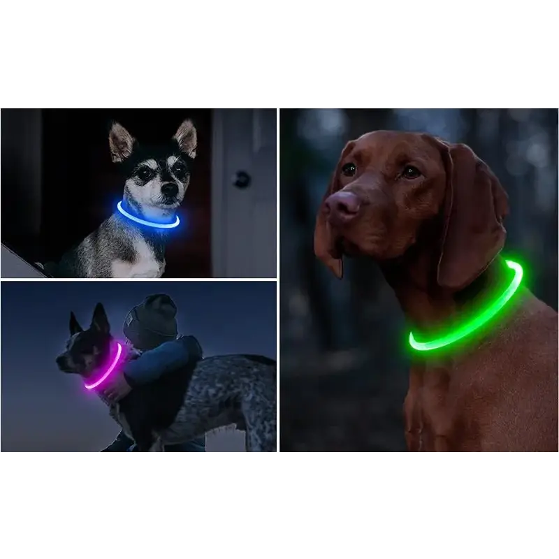 USB LED Dog Collar - 3 Modes for Safety Style & Loss Prevention! 🌟🐾 - Dog Collar