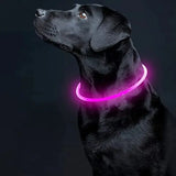 USB LED Dog Collar - 3 Modes for Safety Style & Loss Prevention! 🌟🐾 - Dog Collar