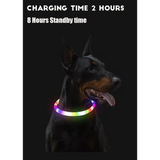 USB LED Dog Collar - 3 Modes for Safety Style & Loss Prevention! 🌟🐾 - Dog Collar