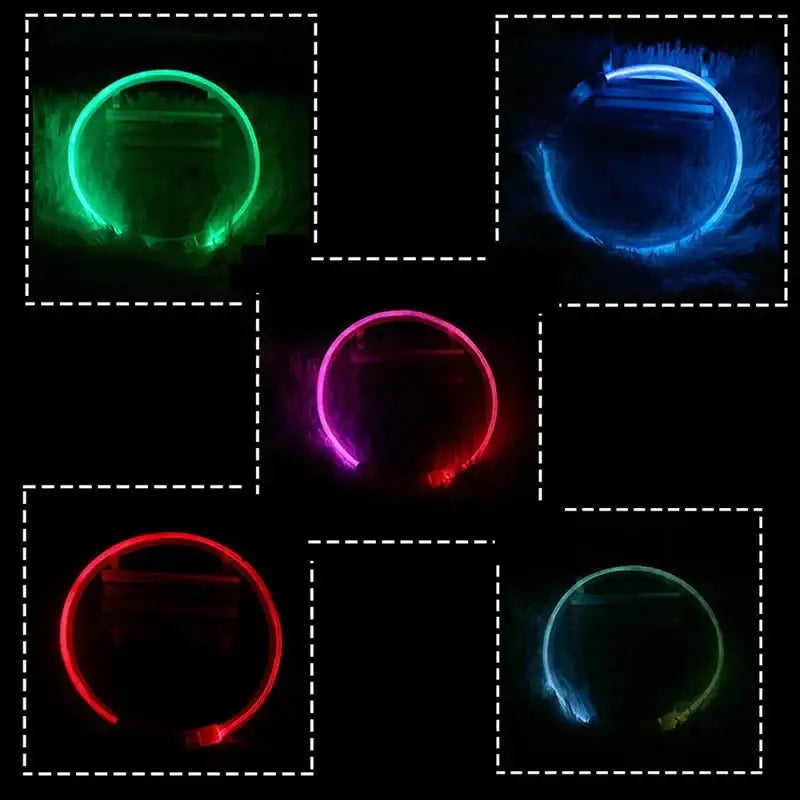 USB LED Dog Collar - 3 Modes for Safety Style & Loss Prevention! 🌟🐾 - Dog Collar