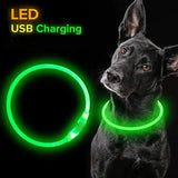 USB LED Dog Collar - 3 Modes for Safety Style & Loss Prevention! 🌟🐾 - Dog Collar