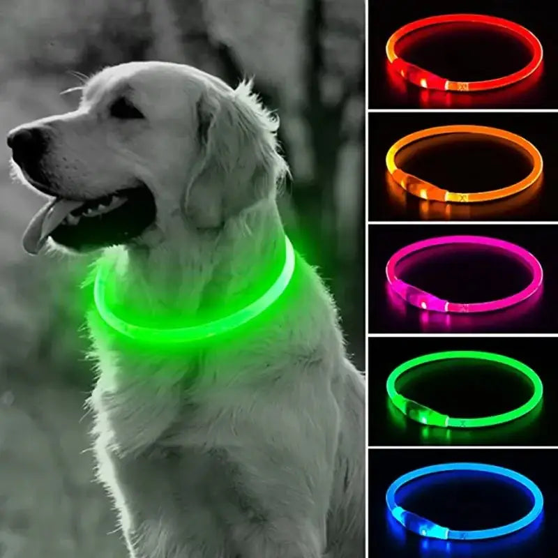 USB LED Dog Collar - 3 Modes for Safety Style & Loss Prevention! 🌟🐾 - Dog Collar